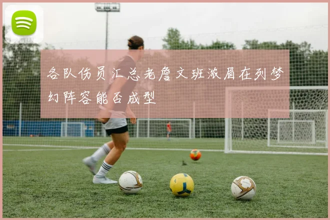 各队伤员汇总老詹文班浓眉在列梦幻阵容能否成型