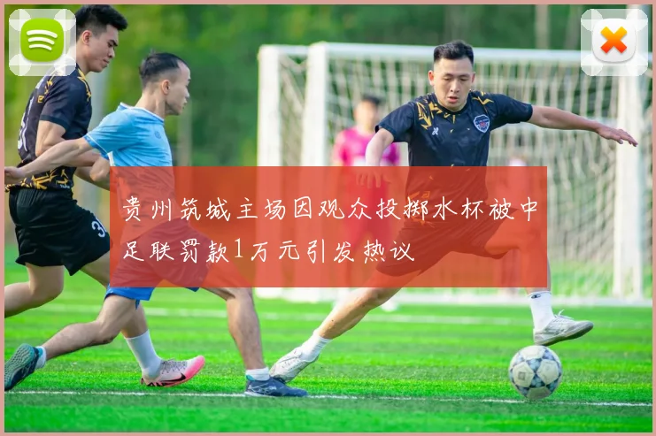 贵州筑城主场因观众投掷水杯被中足联罚款1万元引发热议