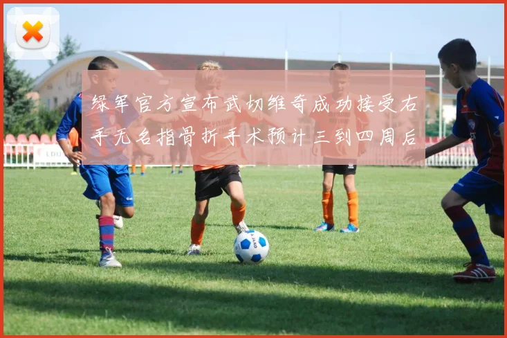 绿军官方宣布武切维奇成功接受右手无名指骨折手术预计三到四周后复查